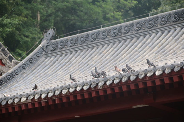 今泰裝飾出游記 | 我們有一千種姿勢玩出精彩！(圖4)