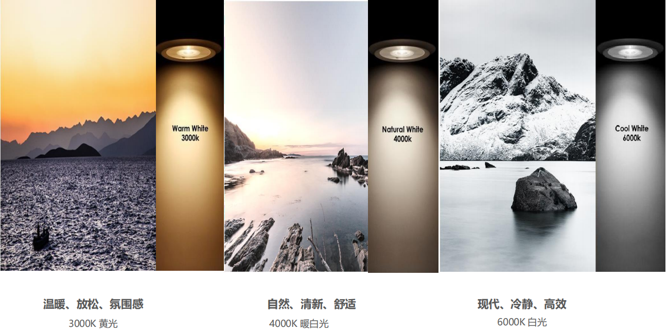 【設(shè)計案例】普照國康醫(yī)藥辦公室項目概念設(shè)計——以空間敘事，筑品牌基因(圖26)