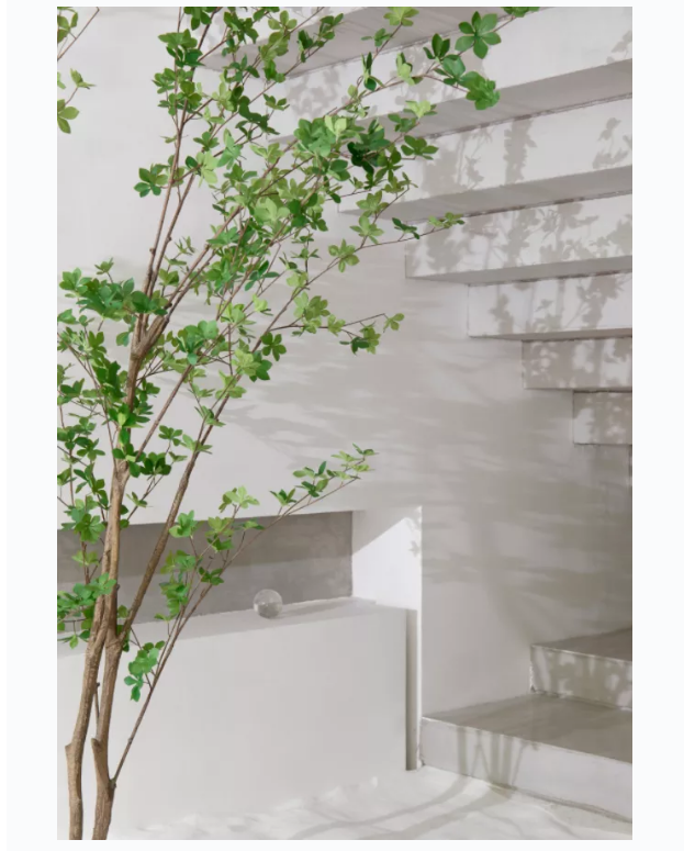 營(yíng)造山丘意境的美容空間(圖7)