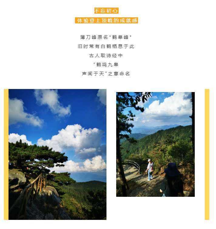 秋天了，來(lái)一場(chǎng)成年人的秋游吧(圖2)