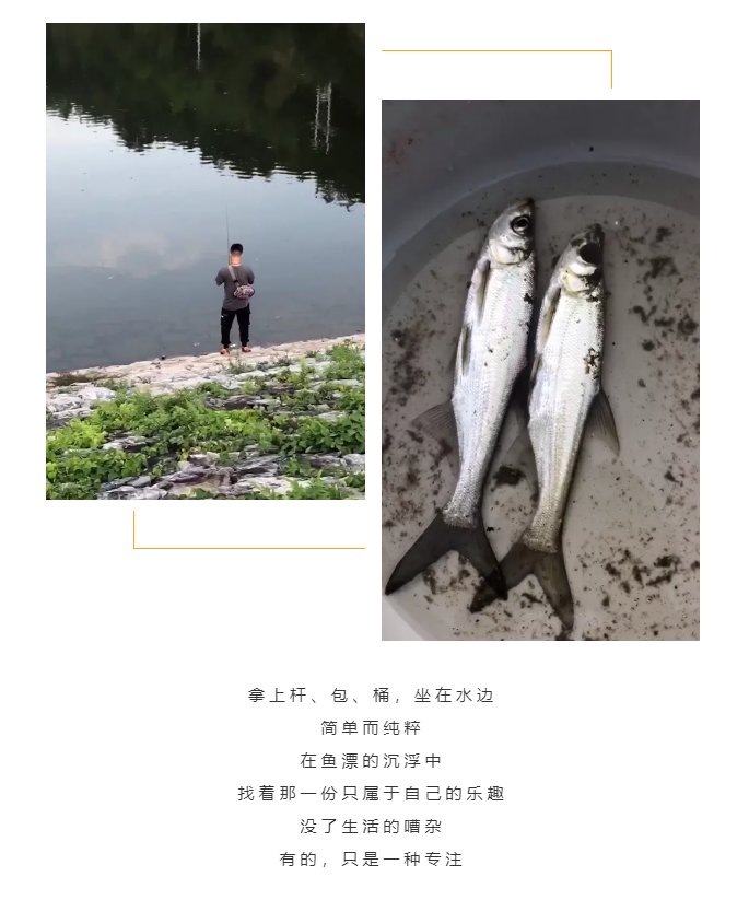 秋天了，來(lái)一場(chǎng)成年人的秋游吧(圖5)