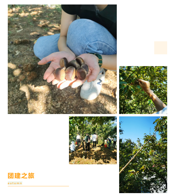 秋天了，來(lái)一場(chǎng)成年人的秋游吧(圖6)